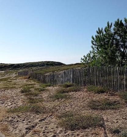 Appartement Spacieux Verdon Sur Mer Le Verdon-sur-Mer Esterno foto